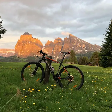 Hotel Saltria - Your Alpine Experience Alpe Di Siusi
